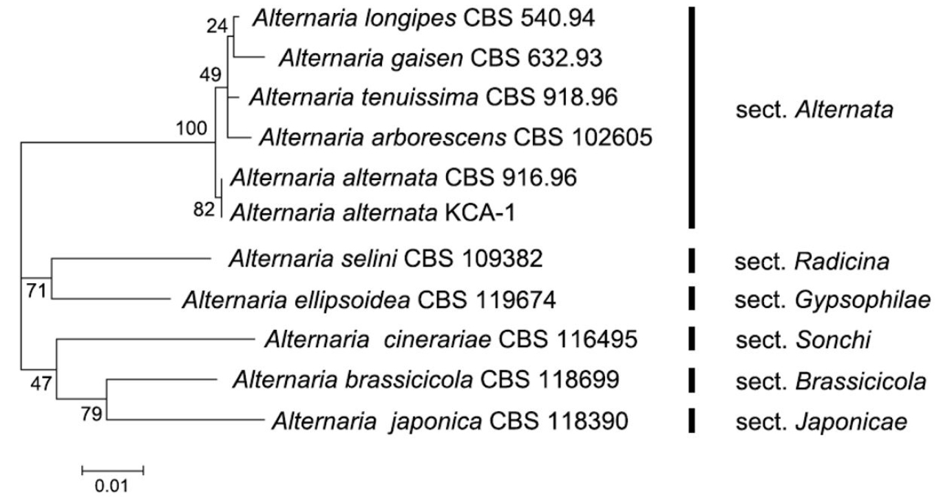 https://cdn.apub.kr/journalsite/sites/ales/2021-033-02/N0250330204/images/ales_33_02_04_F2.jpg