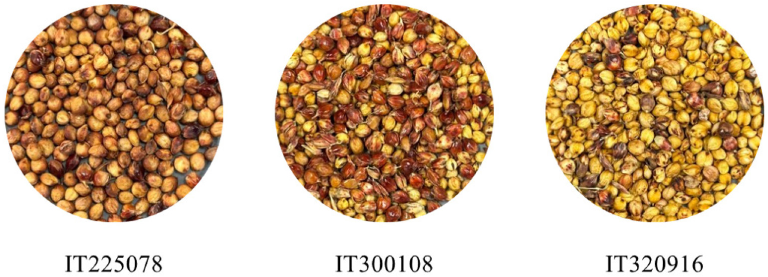 https://cdn.apub.kr/journalsite/sites/ales/2026-038-03/N0250380305/images/ales_38_03_289_F1.jpg