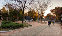https://cdn.apub.kr/journalsite/sites/ask/2022-041-03/N0660410304/images/ASK_41_03_04_T3-10.jpg