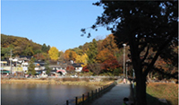 https://cdn.apub.kr/journalsite/sites/ask/2022-041-03/N0660410304/images/ASK_41_03_04_T3-6.jpg