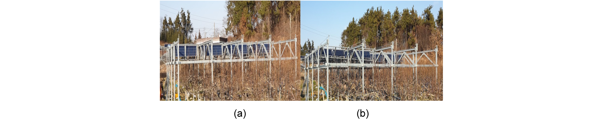 https://cdn.apub.kr/journalsite/sites/cpr/2021-009-02/N0170090204/images/cpr_09_02_04_F5.jpg