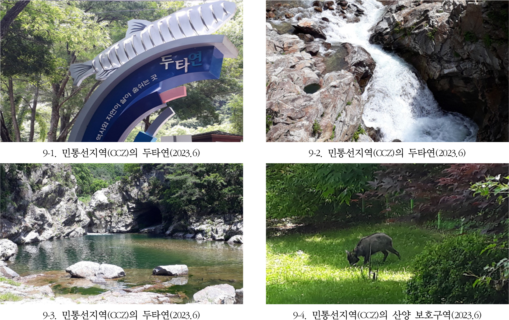 https://cdn.apub.kr/journalsite/sites/geo/2025-060-03/N013600303/images/geoa_60_03_03_F9.jpg