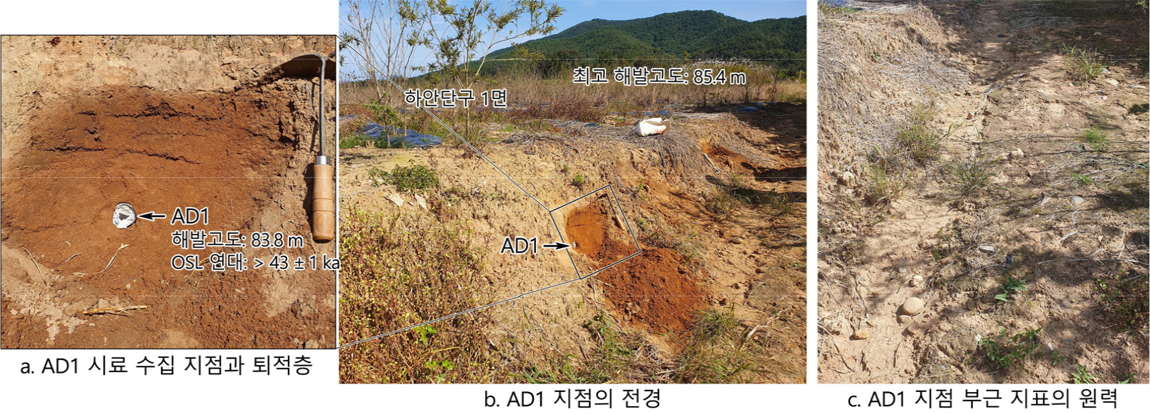 https://cdn.apub.kr/journalsite/sites/geo/2026-061-03/N013610306/images/geoa_61_03_06_F6.jpg