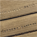 https://cdn.apub.kr/journalsite/sites/jksae/2020-062-03/N0740620304/images/PIC2268.png