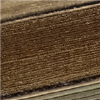 https://cdn.apub.kr/journalsite/sites/jksae/2020-062-03/N0740620304/images/PIC227A.png