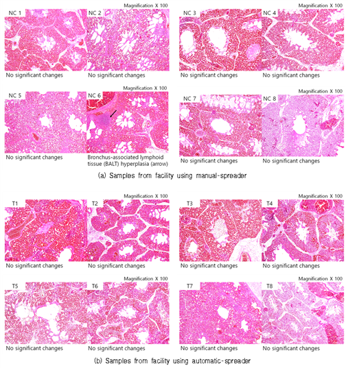 https://cdn.apub.kr/journalsite/sites/jksae/2021-063-01/N0740630104/images/PICBC64.png