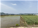 https://cdn.apub.kr/journalsite/sites/jksae/2021-063-03/N0740630305/images/PICEDDA.png