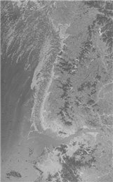 https://cdn.apub.kr/journalsite/sites/jksae/2023-065-06/N0740650607/images/PICB87D.png