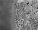 https://cdn.apub.kr/journalsite/sites/jksae/2023-065-06/N0740650607/images/PICBA1D.png