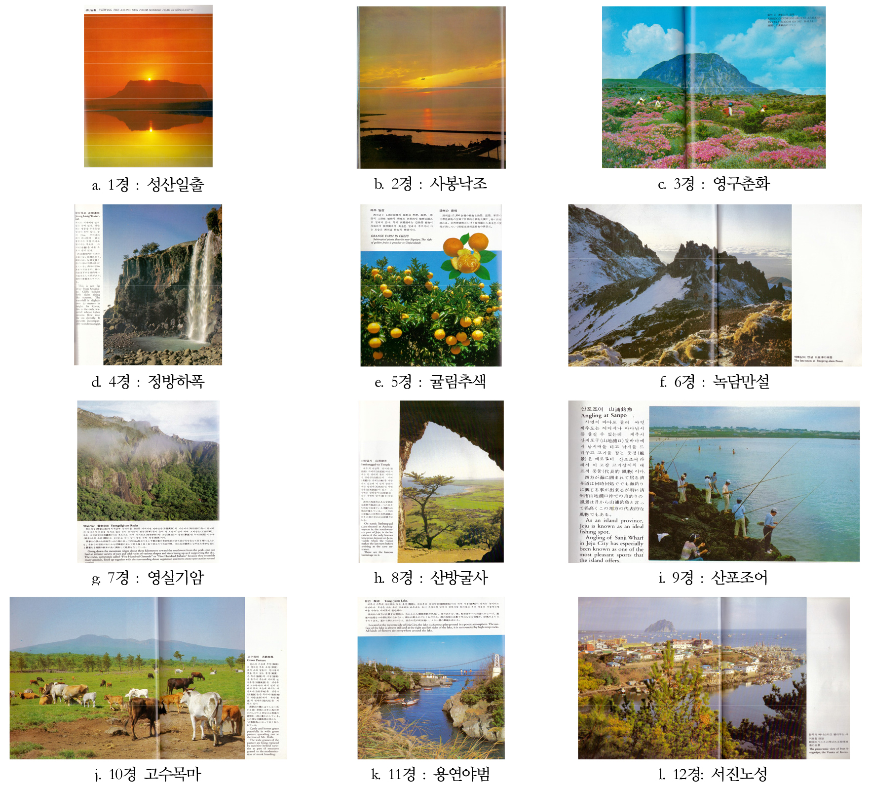 https://cdn.apub.kr/journalsite/sites/kaopg/2021-055-01/N037550103/images/kaopg_55_01_03_F1.jpg