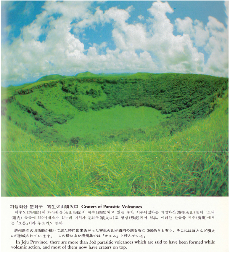 https://cdn.apub.kr/journalsite/sites/kaopg/2021-055-01/N037550103/images/kaopg_55_01_03_F6.jpg