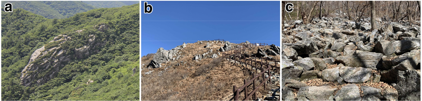 https://cdn.apub.kr/journalsite/sites/kaopg/2021-055-01/N037550109/images/kaopg_55_01_09_F5.jpg