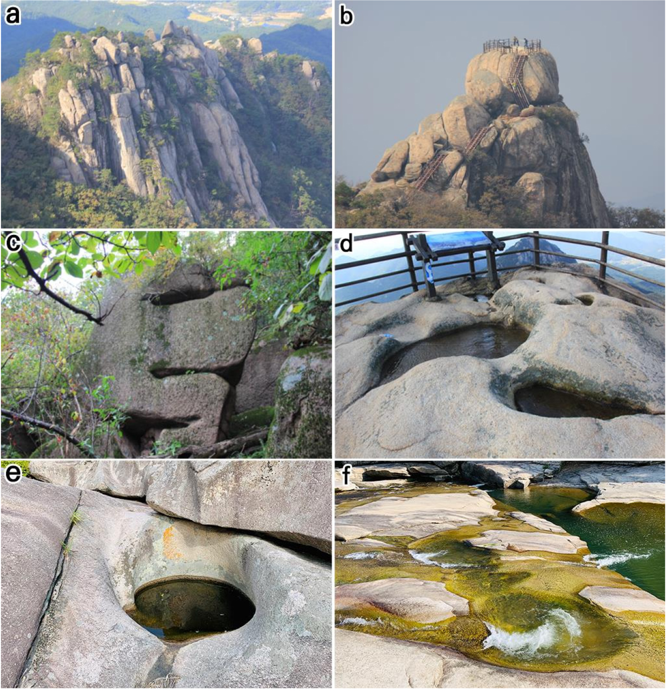 https://cdn.apub.kr/journalsite/sites/kaopg/2023-057-04/N037570408/images/kaopg_2023_574_463_F3.jpg