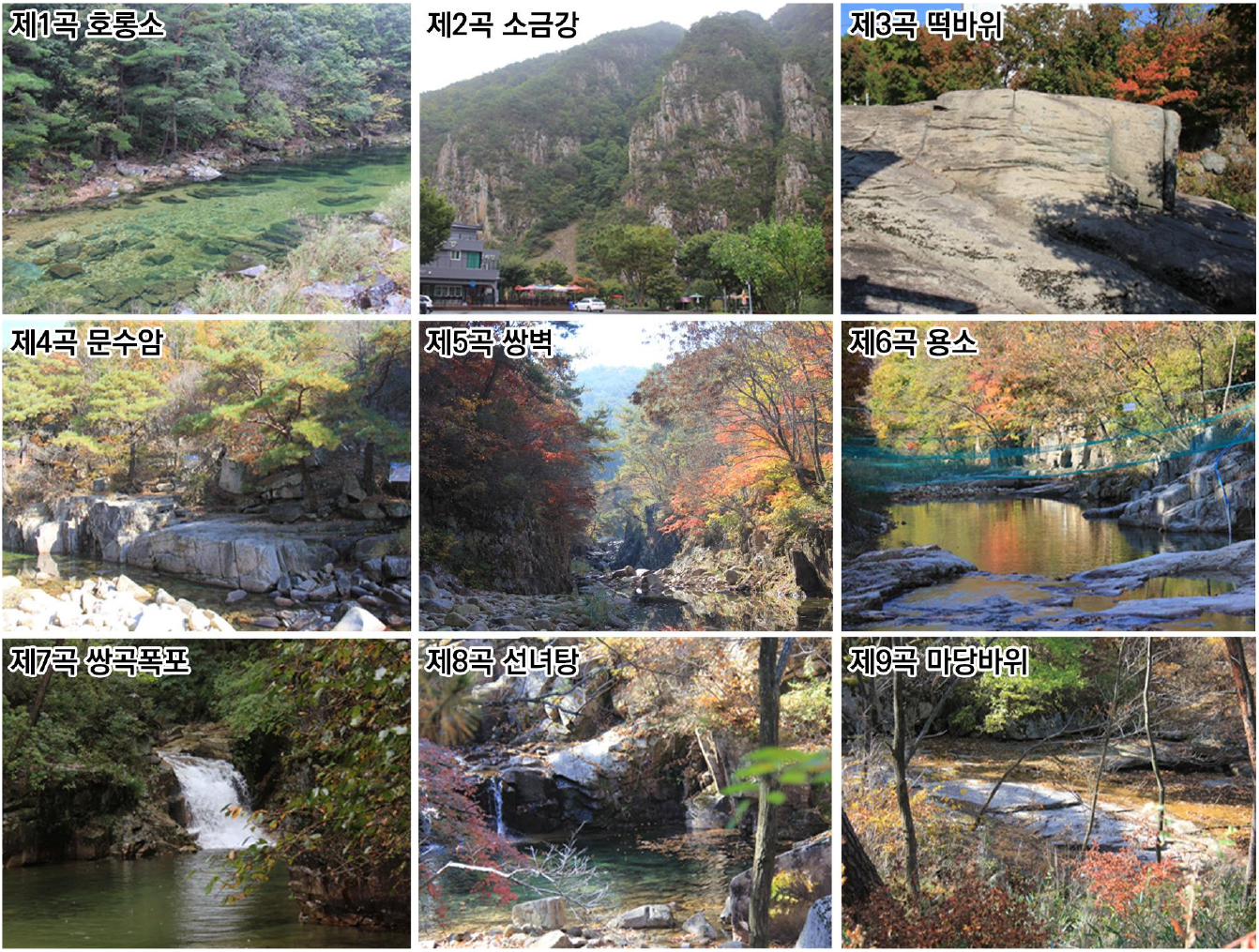 https://cdn.apub.kr/journalsite/sites/kaopg/2023-057-04/N037570408/images/kaopg_2023_574_463_F5.jpg