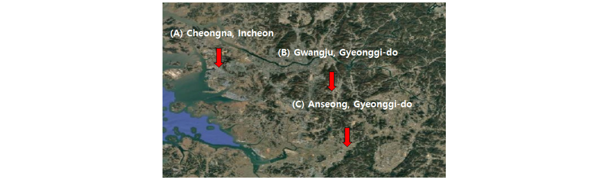 https://cdn.apub.kr/journalsite/sites/kgs/2026-042-02/N0990420205/images/kgs_42_02_05_F5.jpg