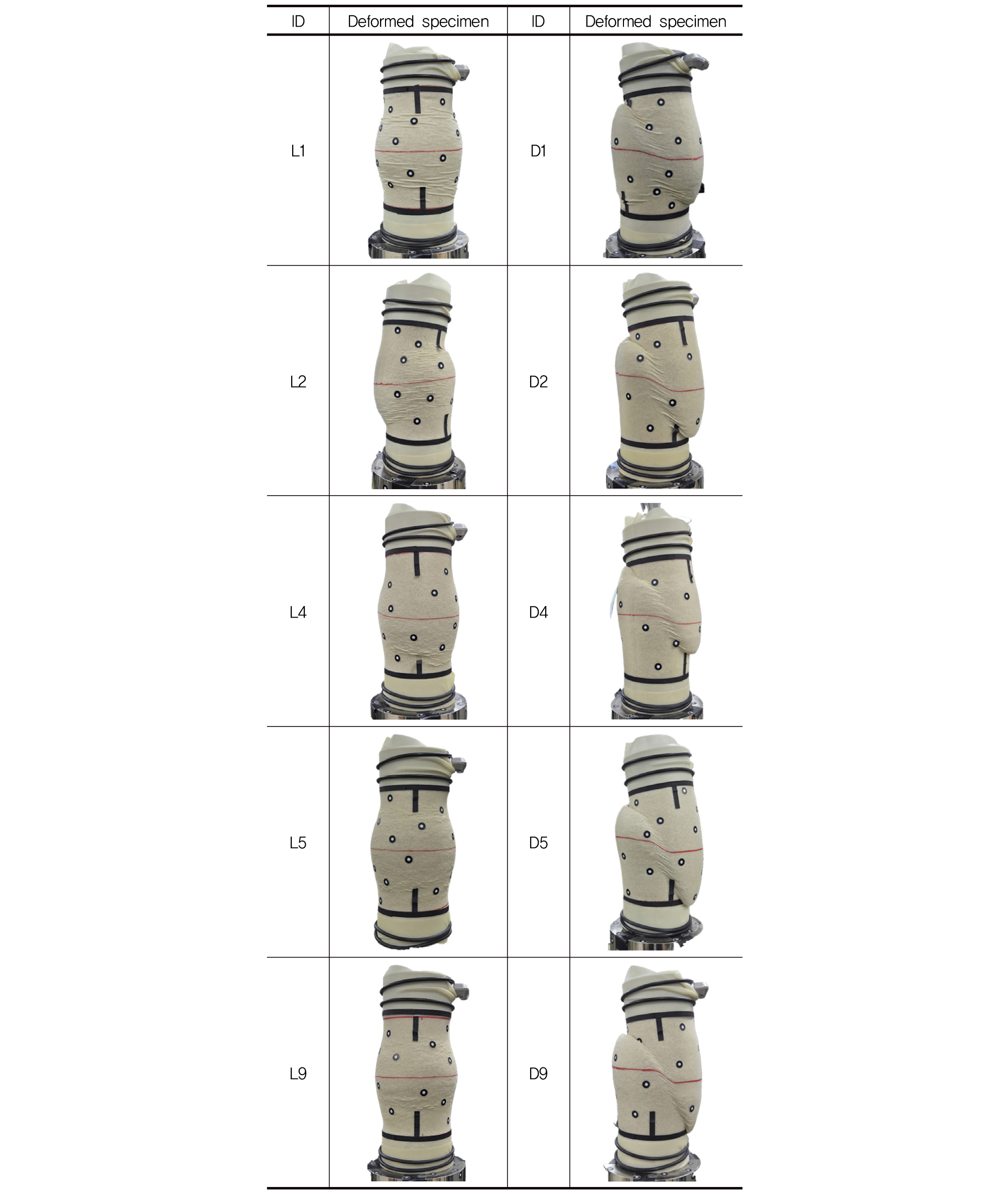 https://cdn.apub.kr/journalsite/sites/kgs/2026-042-04/N0990420403/images/kgs_42_04_03_F9.jpg