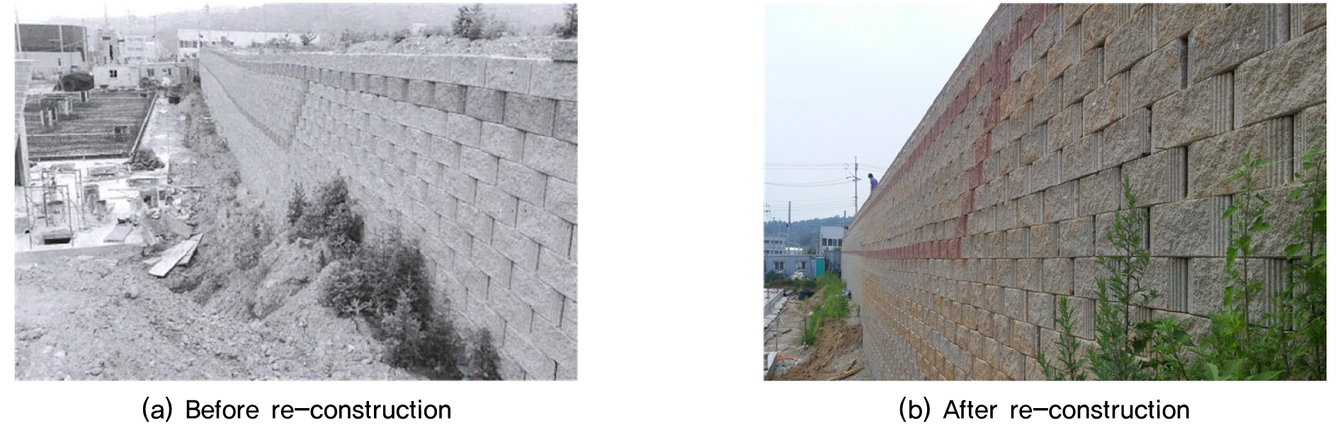 https://cdn.apub.kr/journalsite/sites/kgss/2020-019-04/N0150190410/images/kgss_19_04_10_F17.jpg