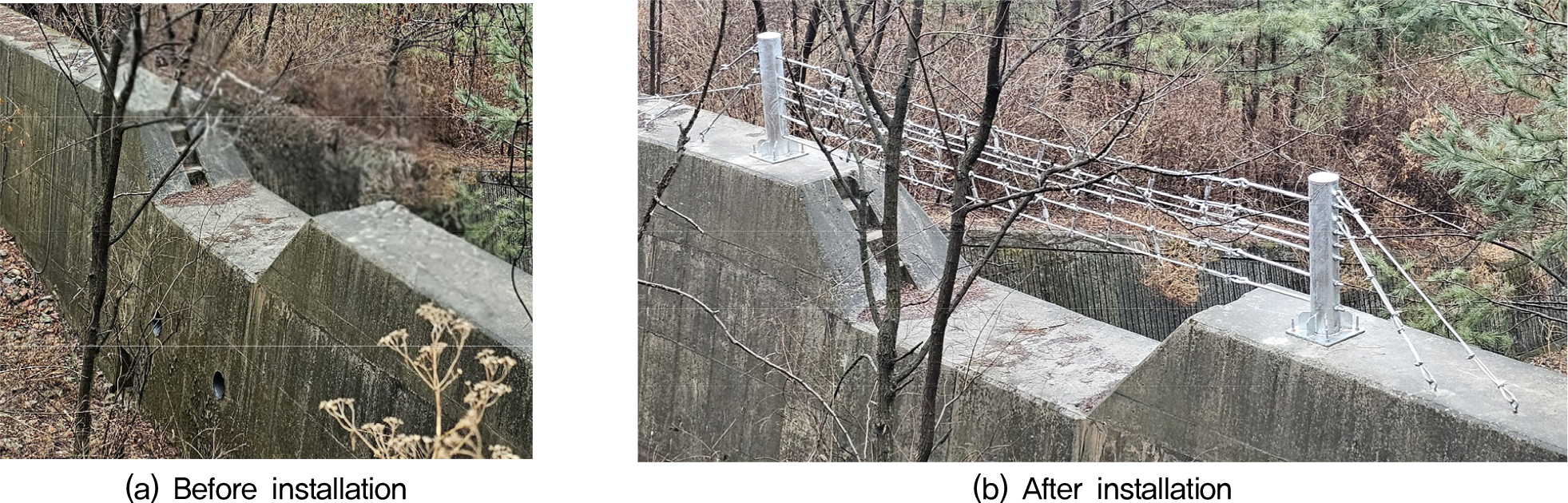 https://cdn.apub.kr/journalsite/sites/kgss/2025-024-04/N0150240408/images/kgss_2025_244_075_F12.jpg