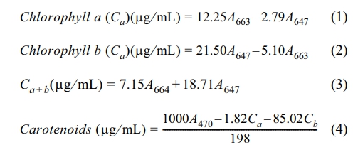https://cdn.apub.kr/journalsite/sites/kossge/2024-029-06/N0720290601/images/JSGE_2024_029_06_1_p1736322911.jpg