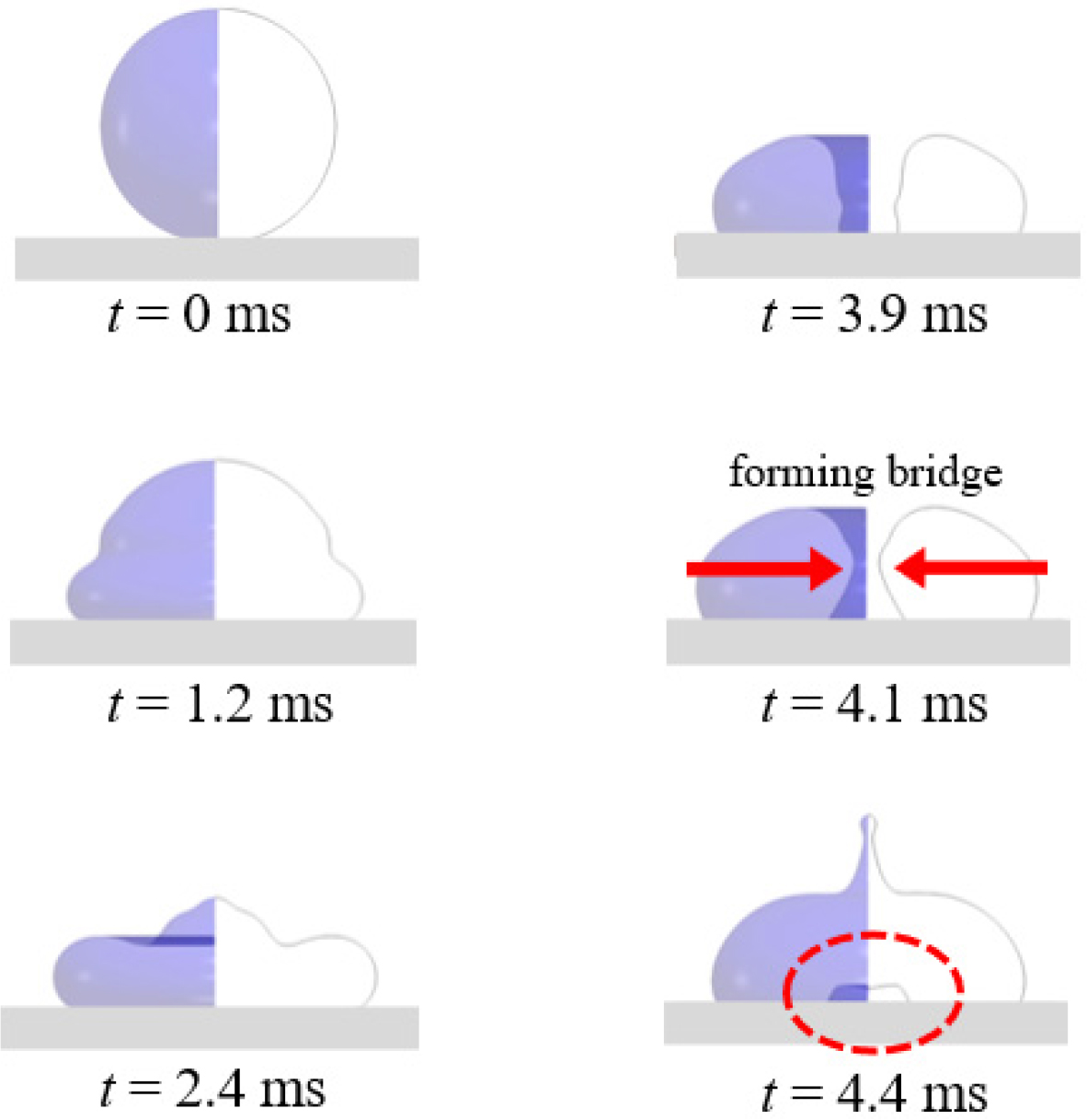 https://cdn.apub.kr/journalsite/sites/kscfe/2026-031-03/N0500310312/images/jkscfe_2026_313_190_F5.jpg