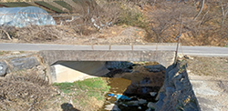 https://cdn.apub.kr/journalsite/sites/ksds/2023-016-02/N0240160203/images/ksds_2023_162_33_T6.jpg