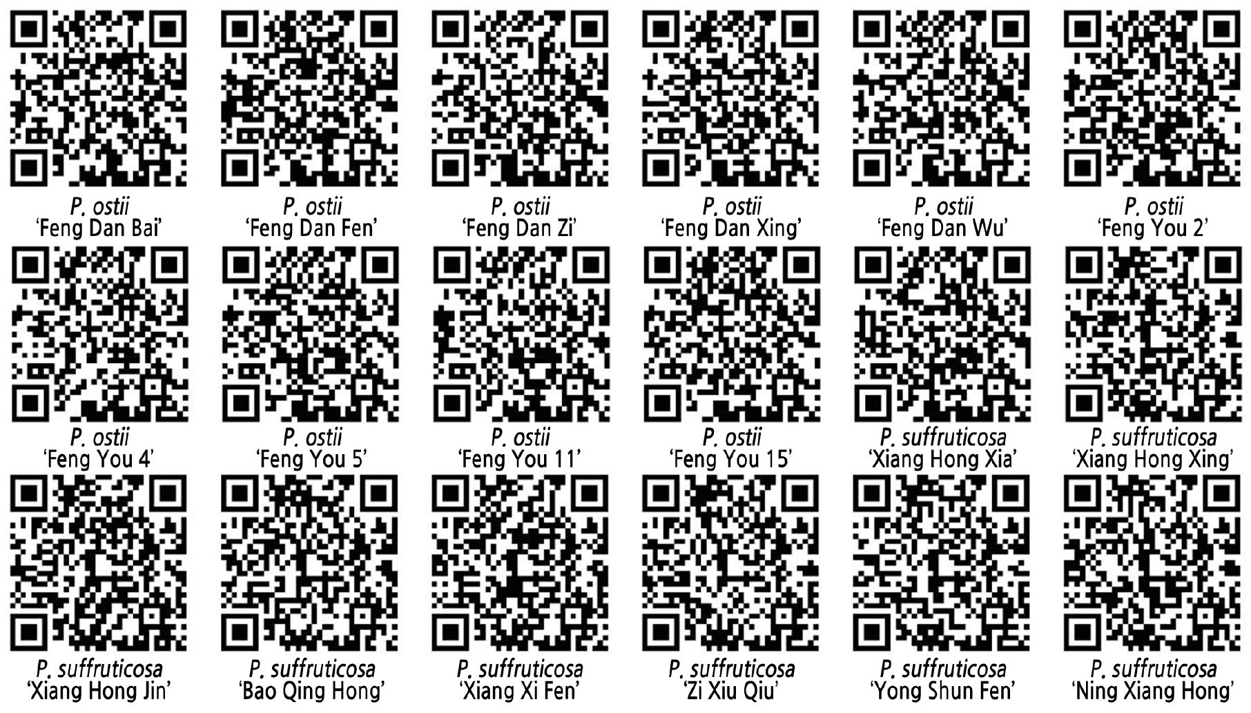 https://cdn.apub.kr/journalsite/sites/kshs/2021-039-05/N0130390513/images/HST_39_05_13_F3.jpg
