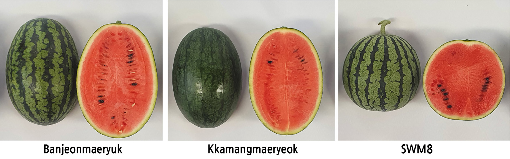 https://cdn.apub.kr/journalsite/sites/kshs/2023-041-03/N0130410302/images/HST_41_03_02_F1.jpg