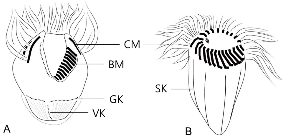 https://cdn.apub.kr/journalsite/sites/kso/2021-026-03/N0230260307/images/figure_KSO_26_03_07_F6.jpg