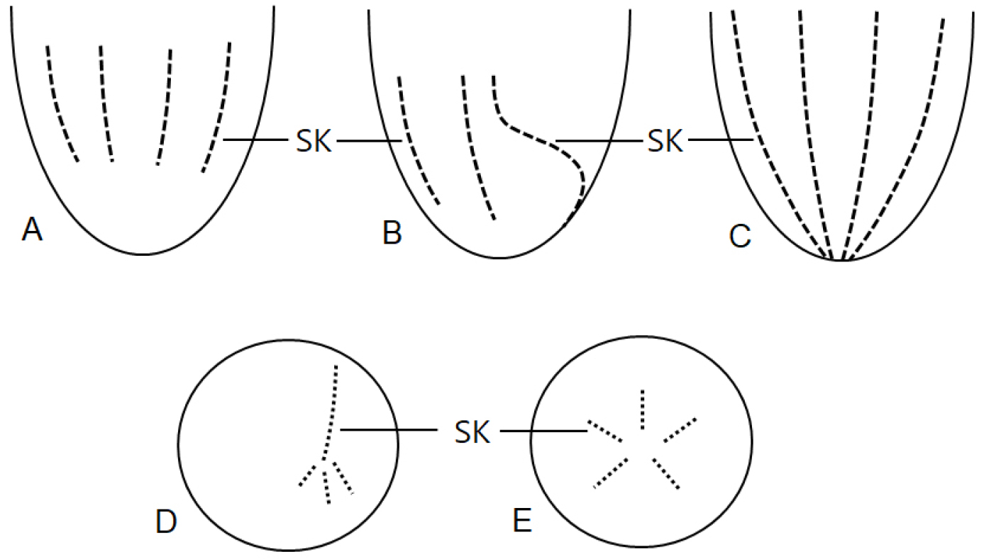 https://cdn.apub.kr/journalsite/sites/kso/2021-026-03/N0230260307/images/figure_KSO_26_03_07_F8.jpg