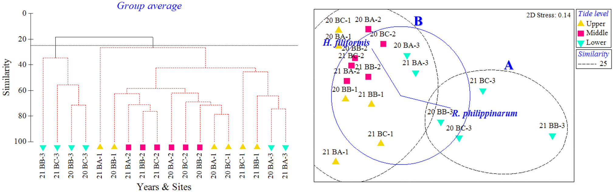 https://cdn.apub.kr/journalsite/sites/kso/2023-028-04/N0230280403/images/figure_KSO_28_04_03_F5.jpg