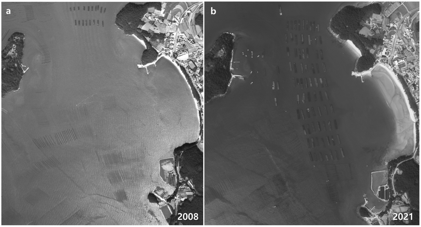 https://cdn.apub.kr/journalsite/sites/kso/2025-030-01/N0230300102/images/figure_KSO_30_01_02_F8.jpg