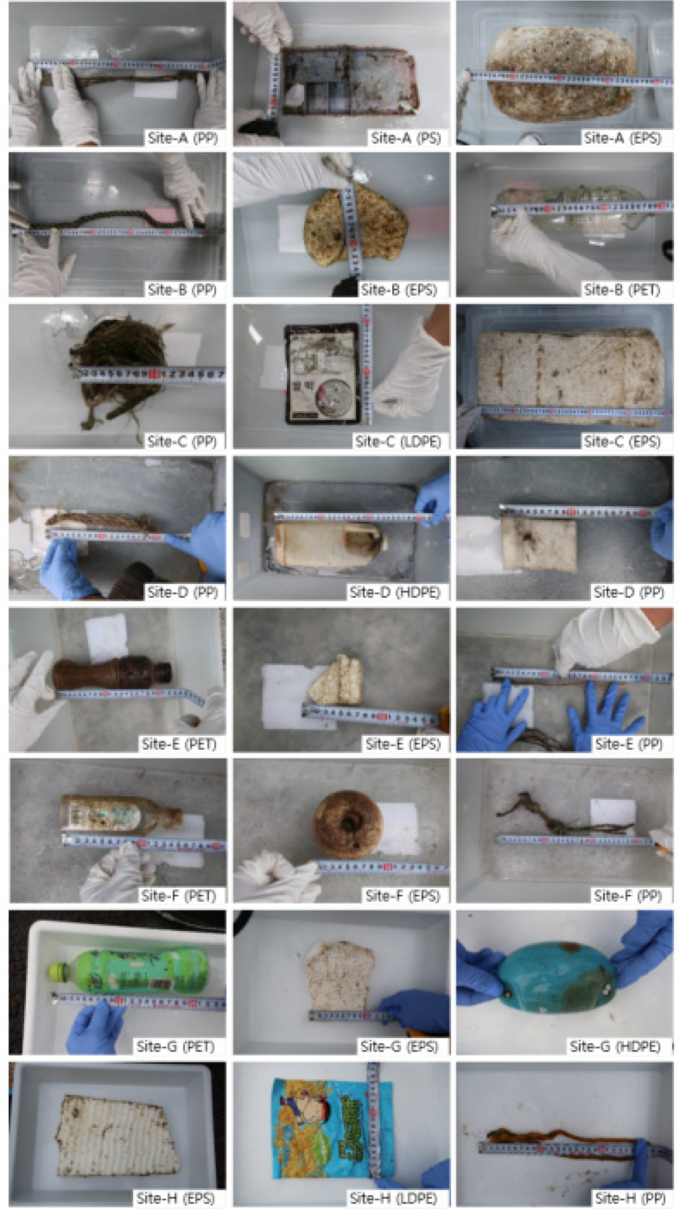 https://cdn.apub.kr/journalsite/sites/kso/2025-030-02/N0230300203/images/figure_KSO_30_02_03_F3.jpg