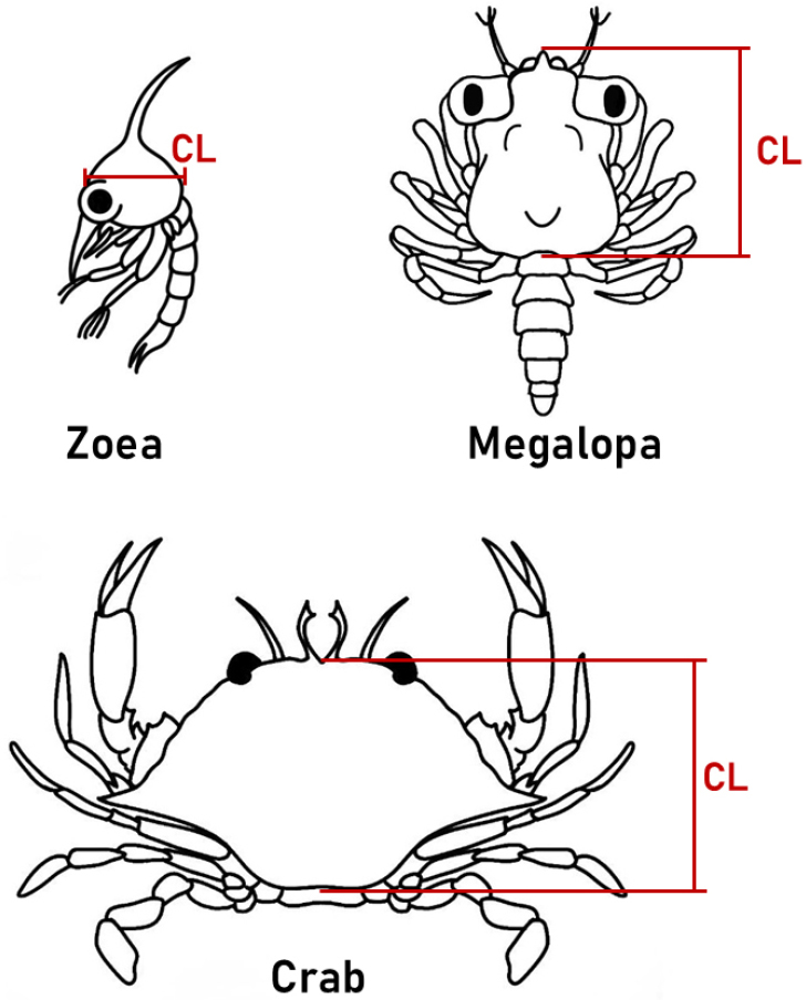 https://cdn.apub.kr/journalsite/sites/kso/2026-031-02/N0230310204/images/figure_KSO_31_02_04_F4.jpg