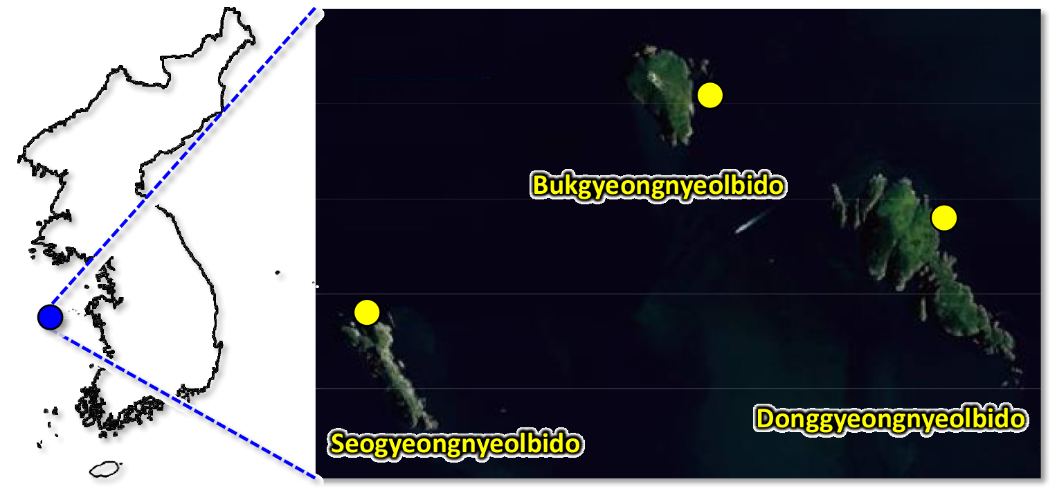 https://cdn.apub.kr/journalsite/sites/ksp/2021-001-02/N0310010203/images/ksp_01_02_03_F1.jpg