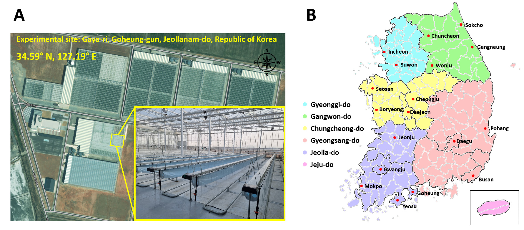 https://cdn.apub.kr/journalsite/sites/kspa/2026-008-03/N0570080307/images/kspa_2026_083_303_F1.jpg