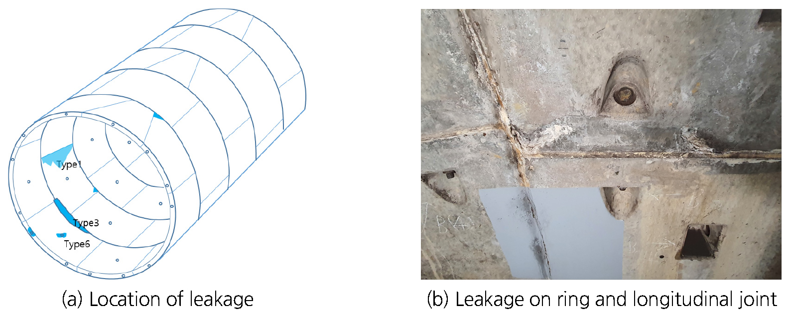 https://cdn.apub.kr/journalsite/sites/kta/2022-024-01/N0550240107/images/kta_24_01_07_F10.jpg