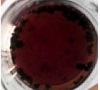 https://cdn.apub.kr/journalsite/sites/ktappi/2016-048-03/N0460480308/images/KTAPPI_2016_v48n3_57_t006_12.jpg