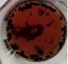 https://cdn.apub.kr/journalsite/sites/ktappi/2016-048-03/N0460480308/images/KTAPPI_2016_v48n3_57_t006_23.jpg
