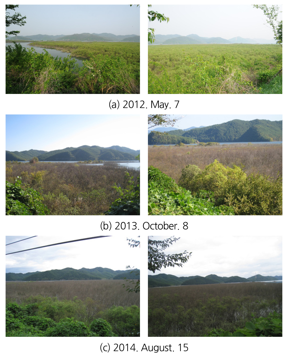 https://cdn.apub.kr/journalsite/sites/kwra/2022-055-12/N0200551208/images/kwra_55_12_08_F6.jpg