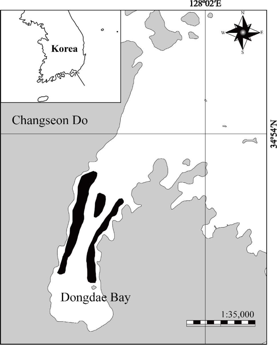 https://cdn.apub.kr/journalsite/sites/opr/2021-043-02/N0080430204/images/opr_43_02_04_F1.jpg