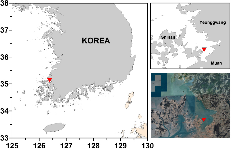 https://cdn.apub.kr/journalsite/sites/opr/2021-043-04/N0080430404/images/opr_43_04_04_F1.jpg