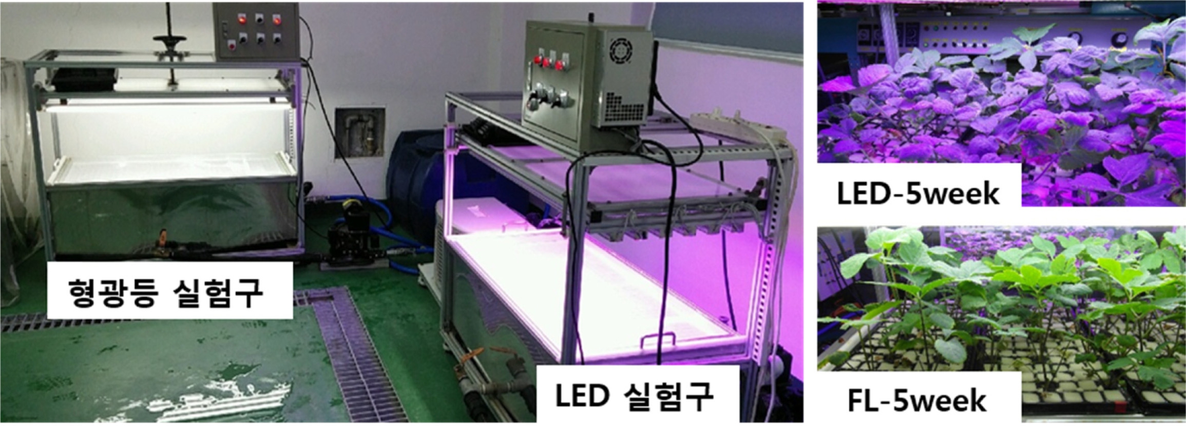https://cdn.apub.kr/journalsite/sites/phpf/2016-025-01/KSBEC-25-1-42/images/KSBEC-25-1-42_F1.jpg
