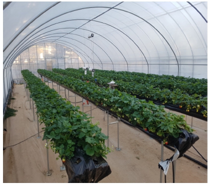 https://cdn.apub.kr/journalsite/sites/phpf/2019-028-02/KSBEC-28-2-117/images/KSBEC-28-2-117_F2.jpg