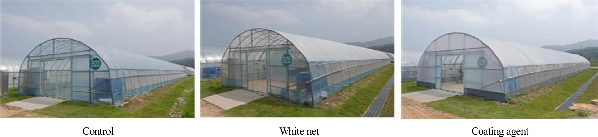 https://cdn.apub.kr/journalsite/sites/phpf/2021-030-04/N0090300408/images/phpf_30_04_08_F1.jpg