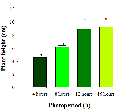 https://cdn.apub.kr/journalsite/sites/phpf/2024-033-01/N0090330109/images/phpf_33_01_09_F5.jpg