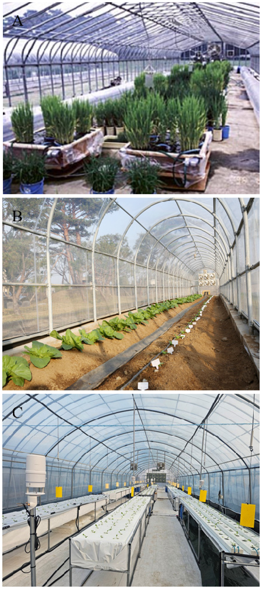 https://cdn.apub.kr/journalsite/sites/phpf/2026-035-02/N0090350203/images/phpf_35_02_03_F1.jpg