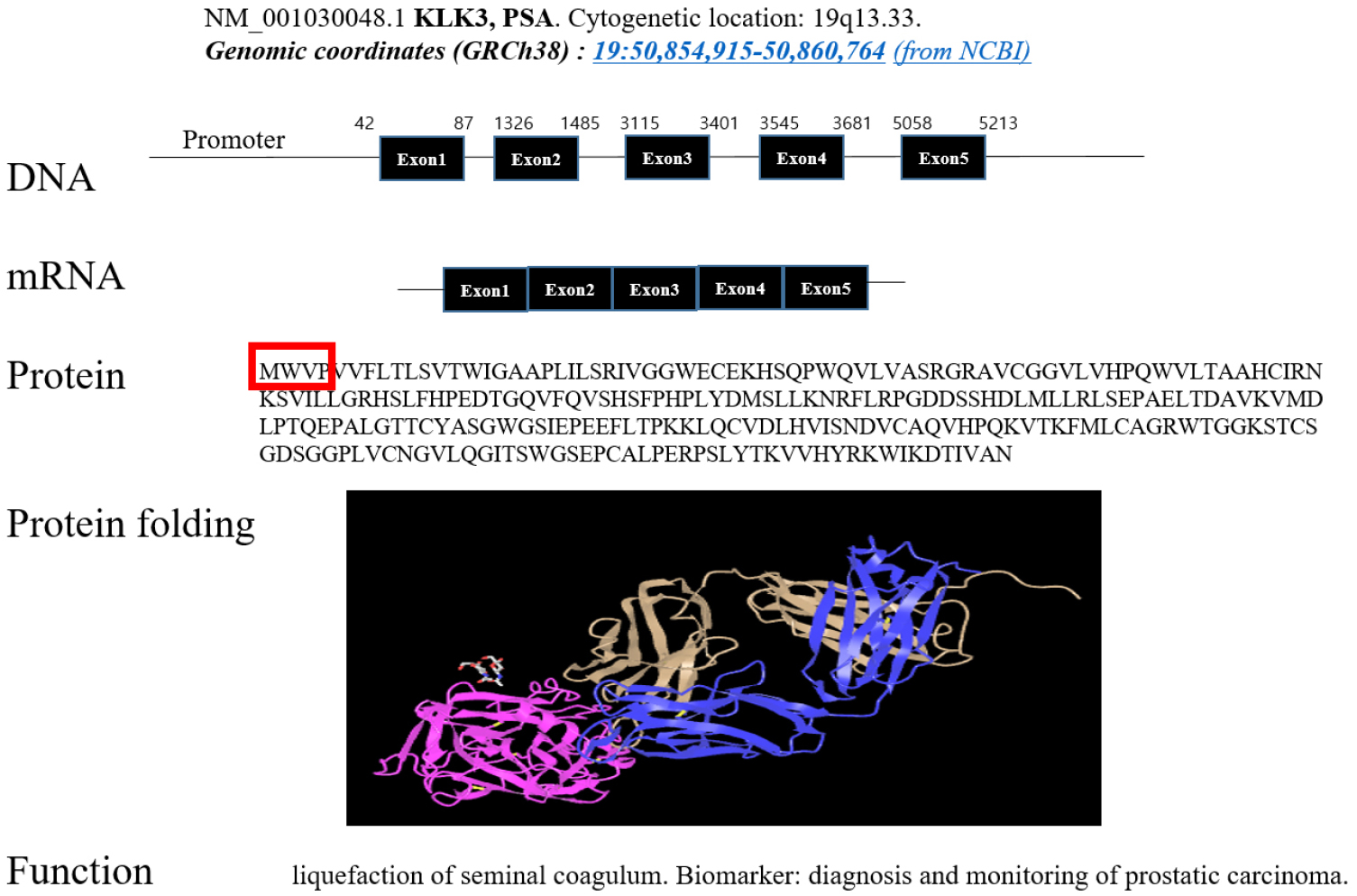 https://cdn.apub.kr/journalsite/sites/urology/2025-006-01/N0050060104/images/urology_06_01_04_F2.jpg