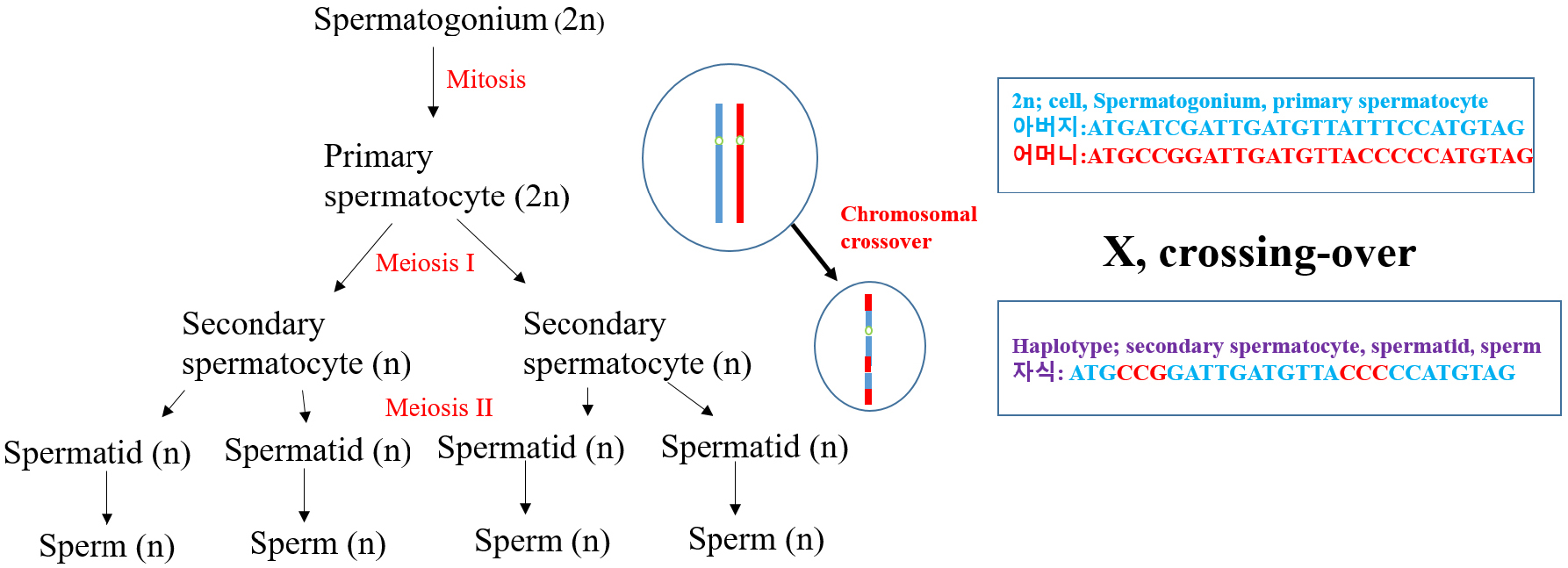 https://cdn.apub.kr/journalsite/sites/urology/2025-006-01/N0050060104/images/urology_06_01_04_F3.jpg
